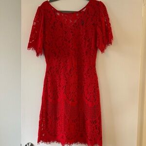 Lulus Lace Dress